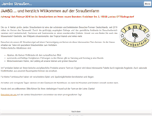 Tablet Screenshot of jambo-strauss.de